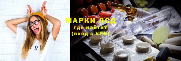гашик Осташков