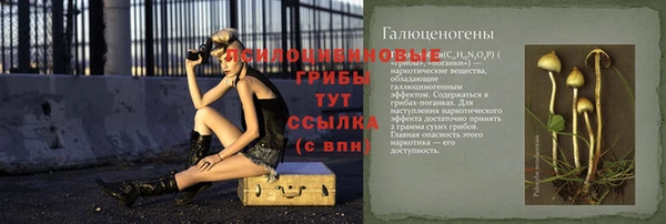 дживик Арсеньев