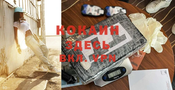 индика Балахна