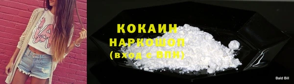 индика Балахна