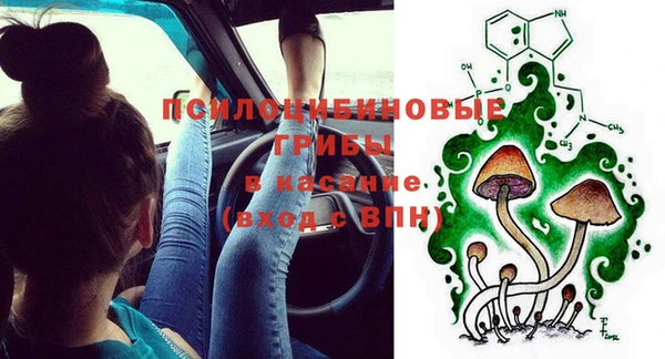 хмурый Осинники