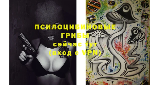 таблы Армянск