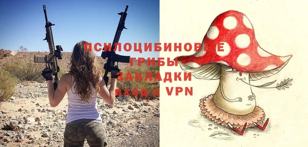 дживик Арсеньев